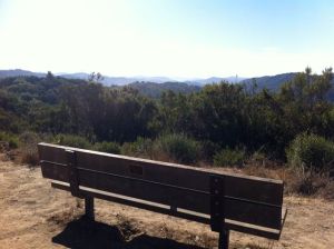 Bench on East Ridge Trail