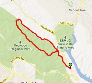 Aerial View of the Redwood Park Loop