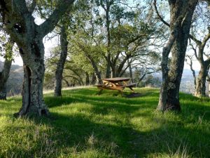 Picnic table at the end of the trail