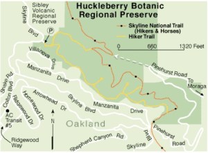 Huckleberry trail map - notice dotted line from Pinehurst Road and the loop it reaches