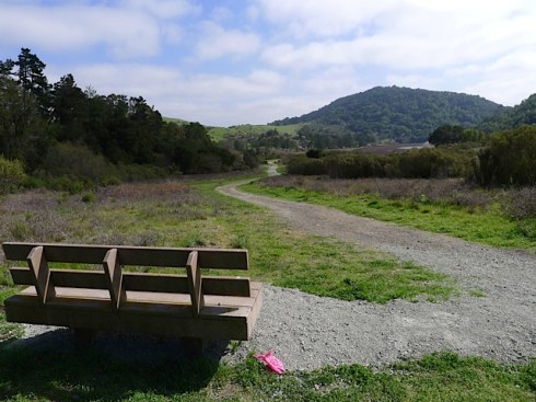 Beginning of the Kings Canyon Loop