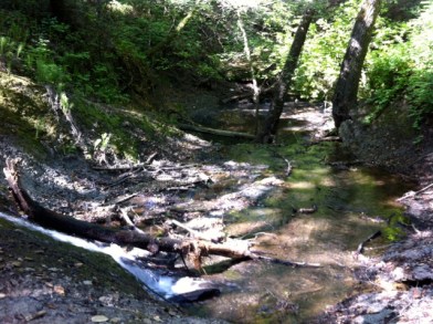 Crossing Bear Creek