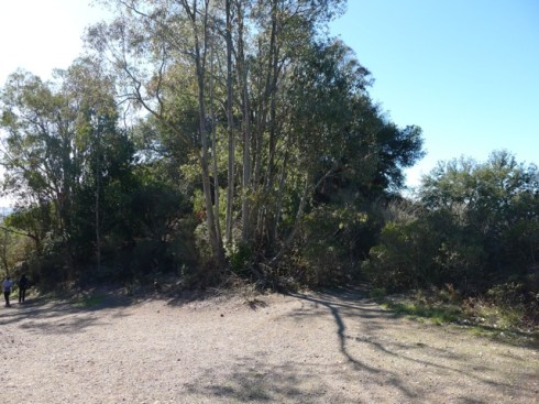 Little side trail to the lookout on the right side.