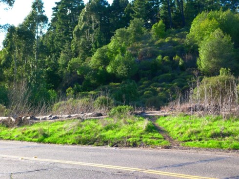 Beginning of Side Hill Trail