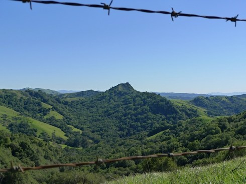 View of Ramage Peak through barbed wire fence - nearing the end of the trail